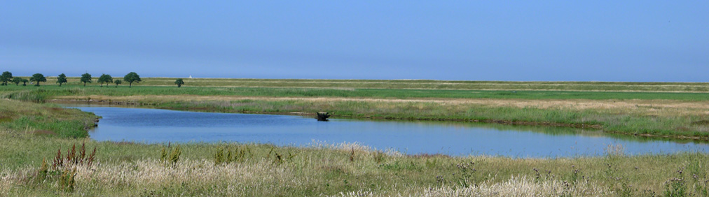 Dijkgatsweide zomer 2011